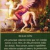 Oraculo A Ajuda Diária dos Anjos - Doreen Virtue