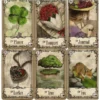 under the roses lenormand