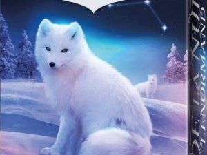 de la nuit lenormand