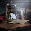 la nuit lenormand baralho cigano
