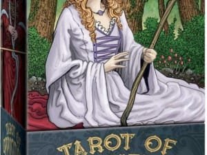 Tarot das Oposições